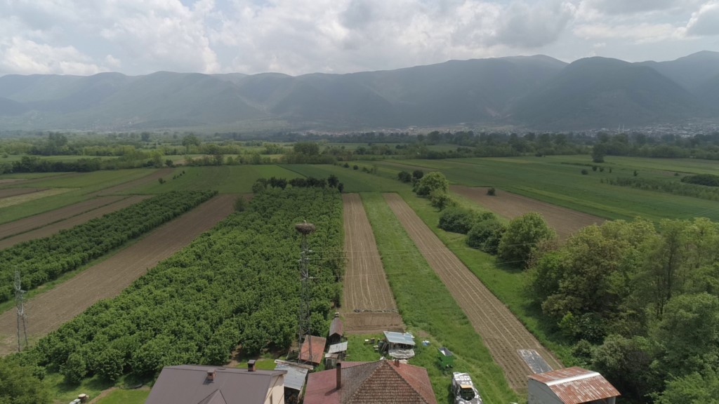 Qiradhënia e tokave bujqësore, drafti si do veprohet me investitorët strategjikë